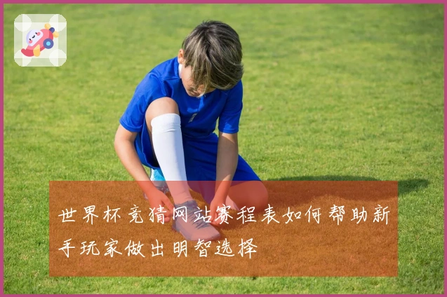 世界杯竞猜网站赛程表如何帮助新手玩家做出明智选择