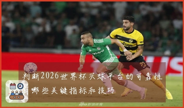 判断2026世界杯买球平台的可靠性有哪些关键指标和技巧