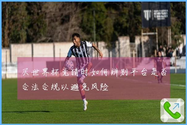 买世界杯竞猜时如何辨别平台是否合法合规以避免风险