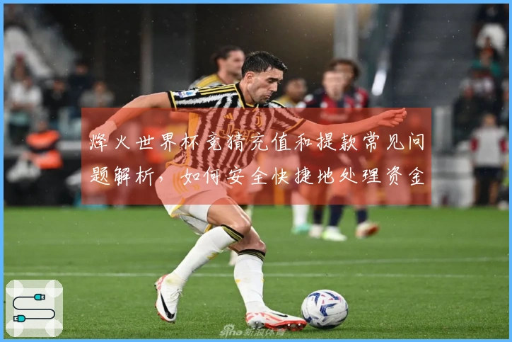 烽火世界杯竞猜充值和提款常见问题解析,如何安全快捷地处理资金流动?