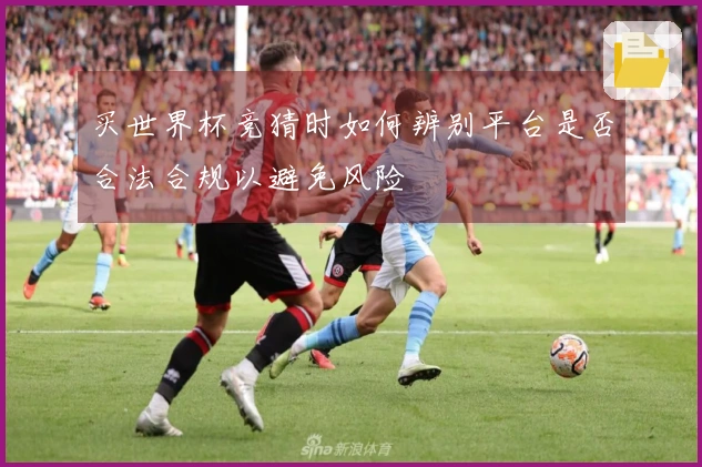 买世界杯竞猜时如何辨别平台是否合法合规以避免风险