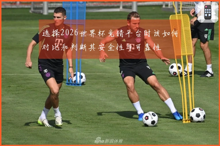 选择2026世界杯竞猜平台时该如何对比和判断其安全性与可靠性