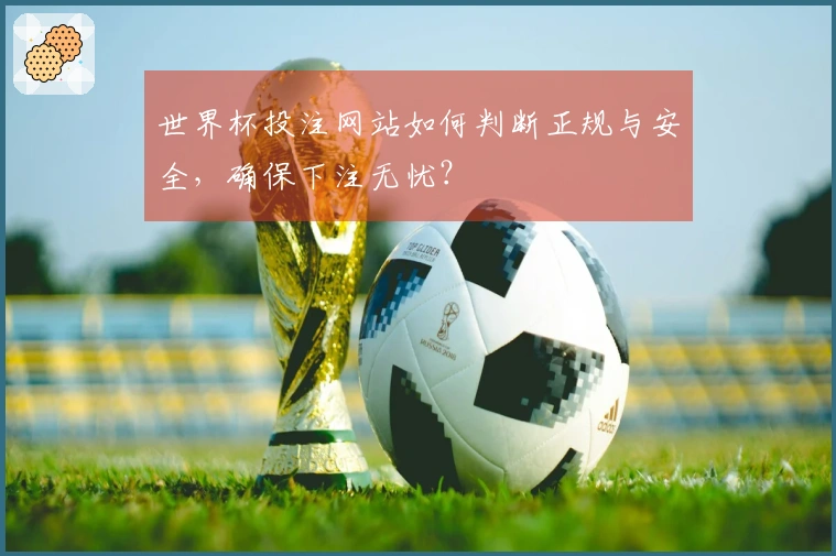 世界杯投注网站如何判断正规与安全，确保下注无忧？