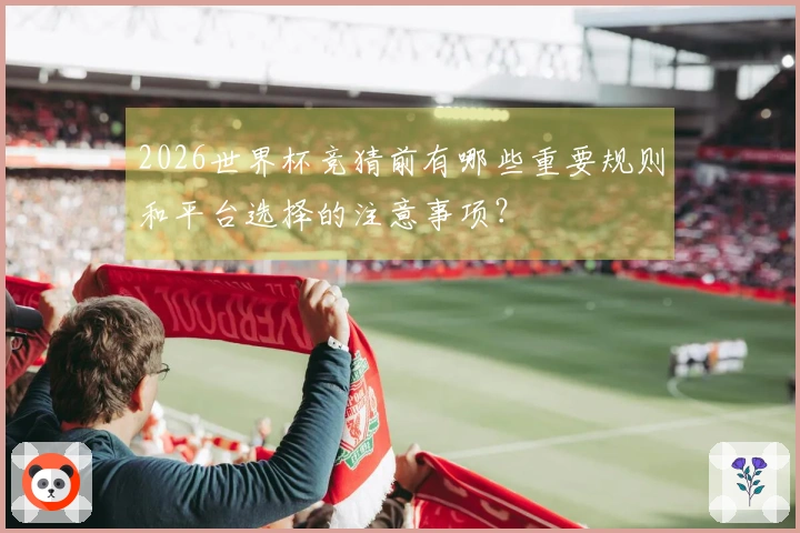 2026世界杯竞猜前有哪些重要规则和平台选择的注意事项？