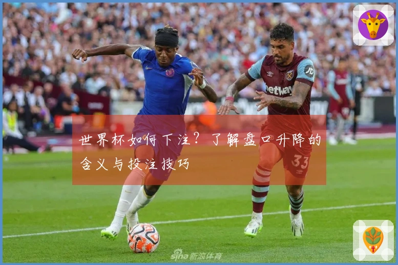 世界杯如何下注？了解盘口升降的含义与投注技巧