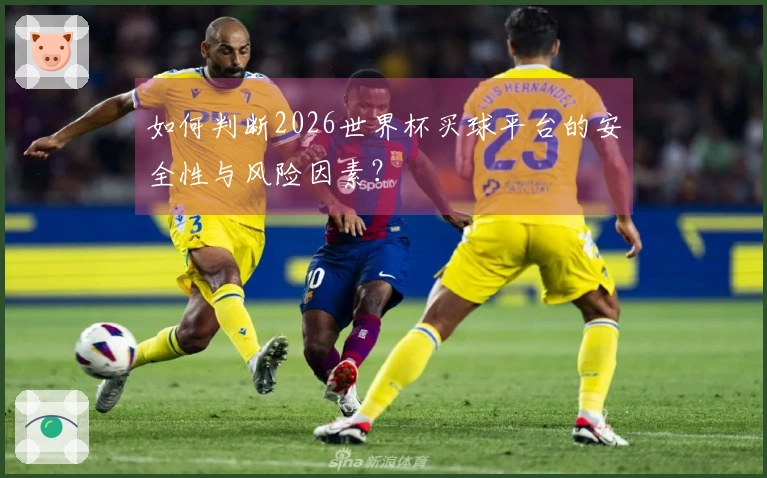 如何判断2026世界杯买球平台的安全性与风险因素？