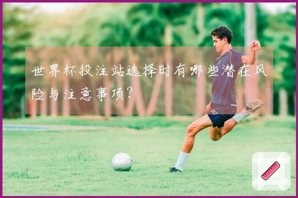 世界杯投注站选择时有哪些潜在风险与注意事项？