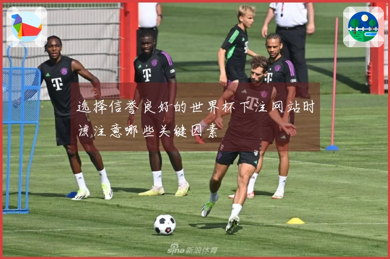 选择信誉良好的世界杯下注网站时该注意哪些关键因素