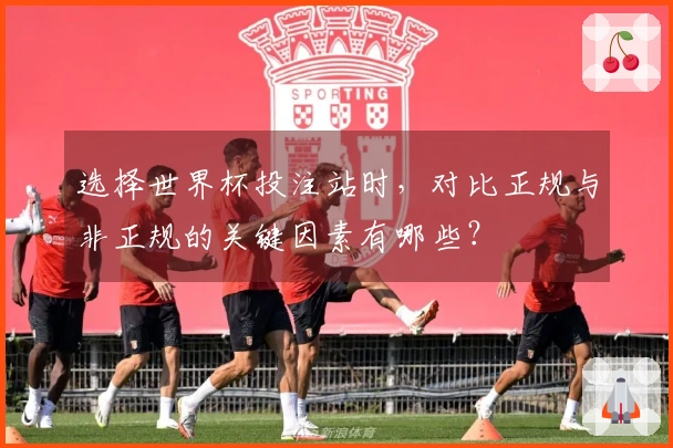 选择世界杯投注站时，对比正规与非正规的关键因素有哪些？
