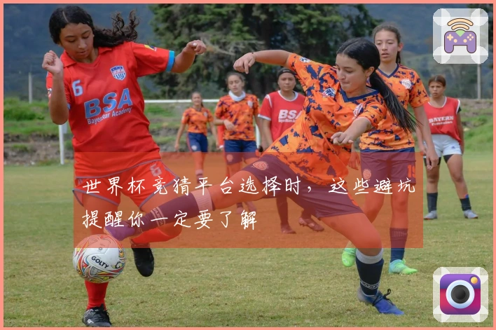 世界杯竞猜平台选择时，这些避坑提醒你一定要了解