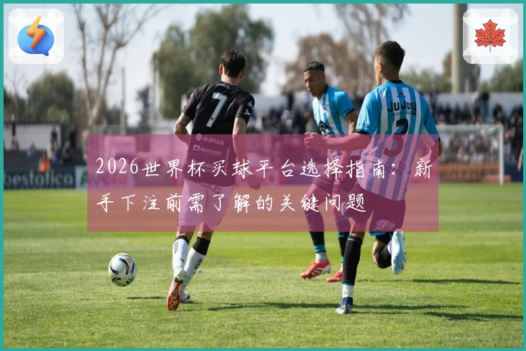 2026世界杯买球平台选择指南：新手下注前需了解的关键问题