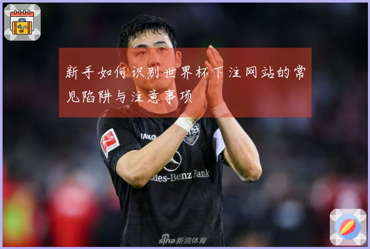 新手如何识别世界杯下注网站的常见陷阱与注意事项