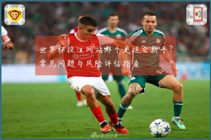 世界杯投注网站哪个更适合新手？常见问题与风险评估指南
