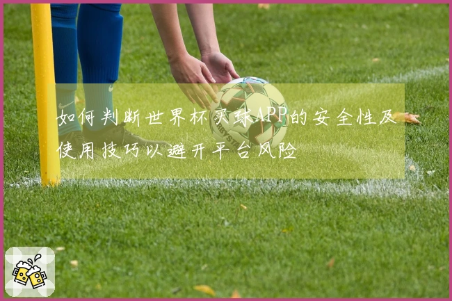 如何判断世界杯买球APP的安全性及使用技巧以避开平台风险