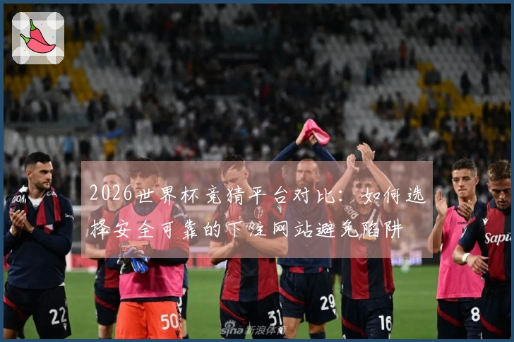 2026世界杯竞猜平台对比：如何选择安全可靠的下注网站避免陷阱