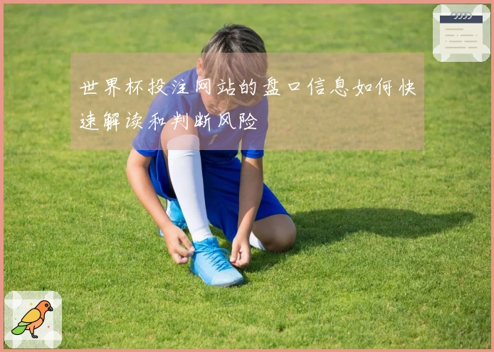 世界杯投注网站的盘口信息如何快速解读和判断风险
