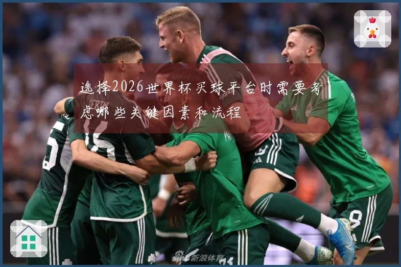选择2026世界杯买球平台时需要考虑哪些关键因素和流程