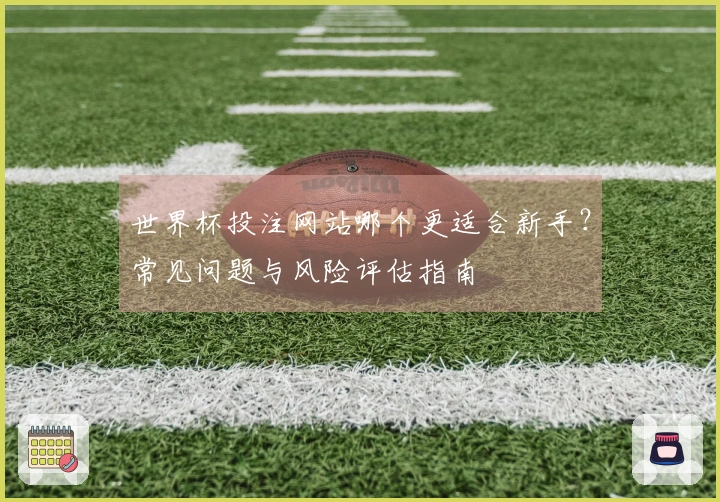 世界杯投注网站哪个更适合新手？常见问题与风险评估指南