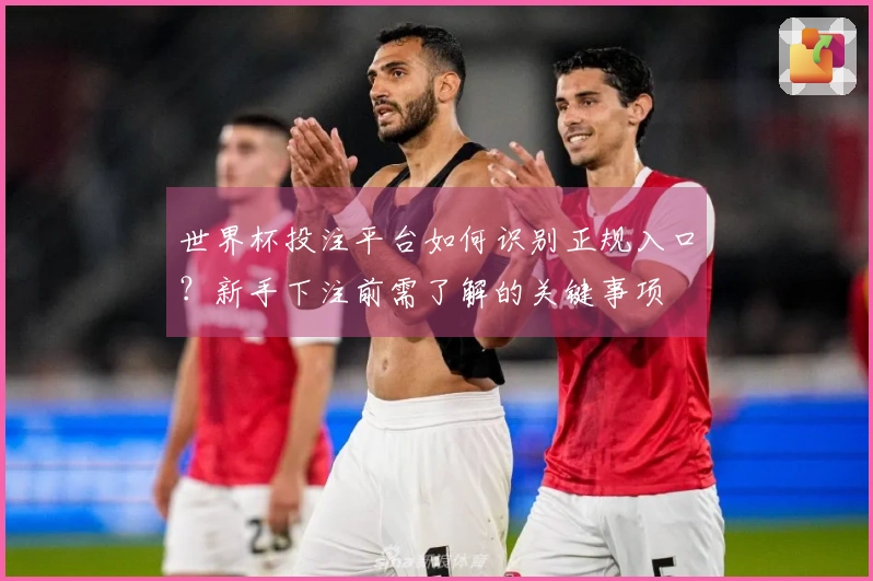 世界杯投注平台如何识别正规入口？新手下注前需了解的关键事项