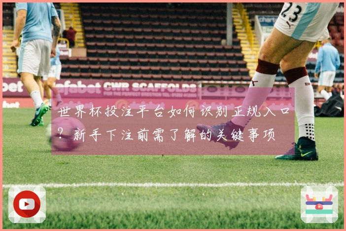 世界杯投注平台如何识别正规入口？新手下注前需了解的关键事项