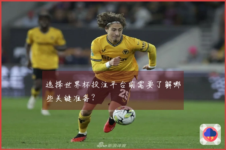 选择世界杯投注平台前需要了解哪些关键准备？