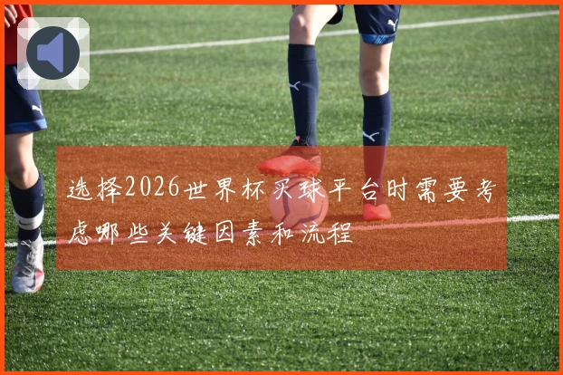 选择2026世界杯买球平台时需要考虑哪些关键因素和流程