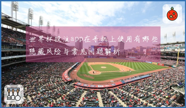 世界杯投注app在手机上使用有哪些隐藏风险与常见问题解析