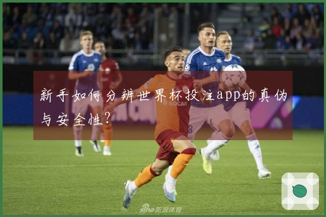 新手如何分辨世界杯投注app的真伪与安全性？