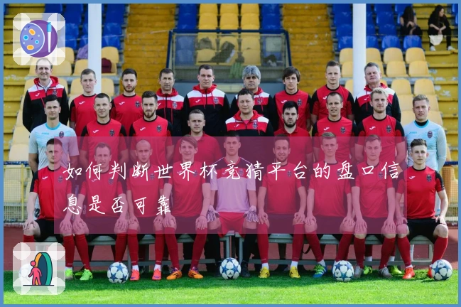 如何判断世界杯竞猜平台的盘口信息是否可靠