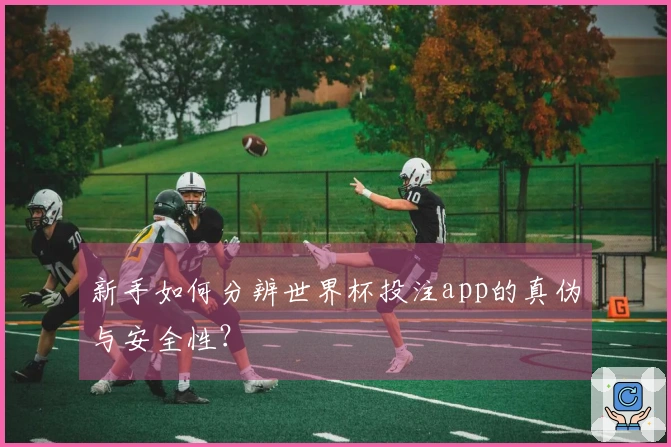 新手如何分辨世界杯投注app的真伪与安全性？