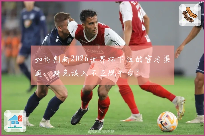 如何判断2026世界杯下注的官方渠道,避免误入不正规平台?