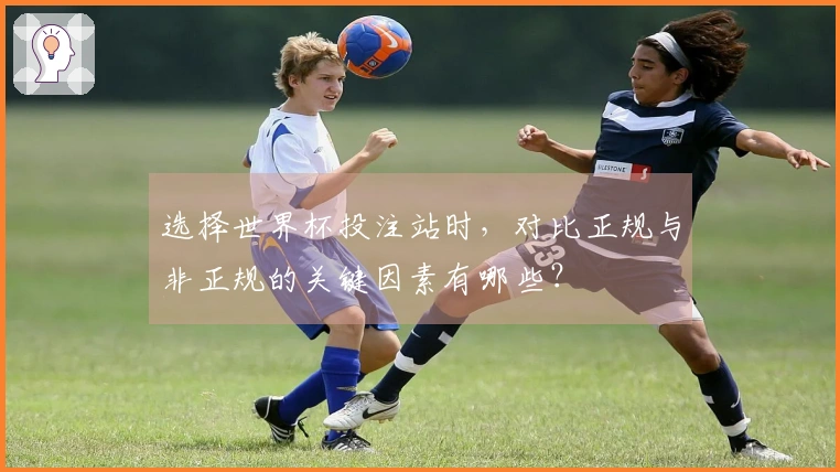 选择世界杯投注站时，对比正规与非正规的关键因素有哪些？